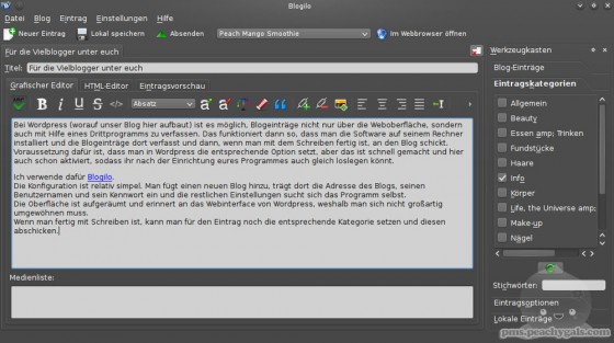 screenshot blogilo