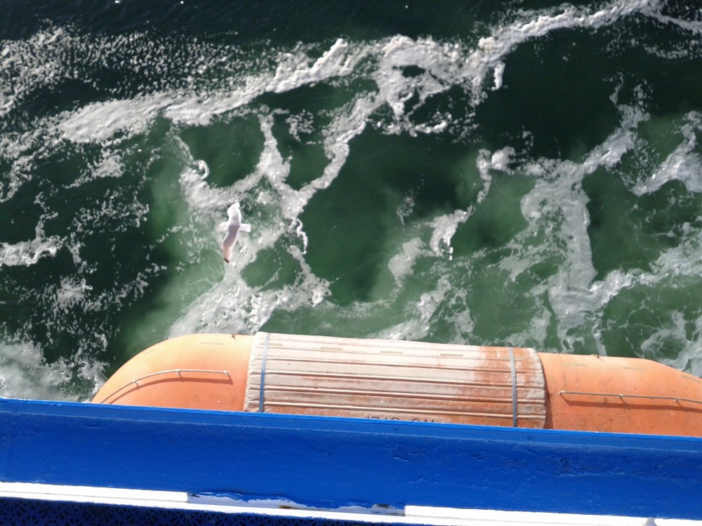 fähre hull2