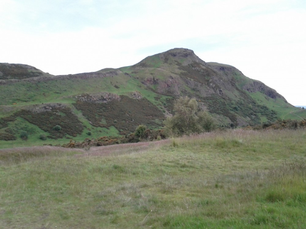 hollyrood park hill